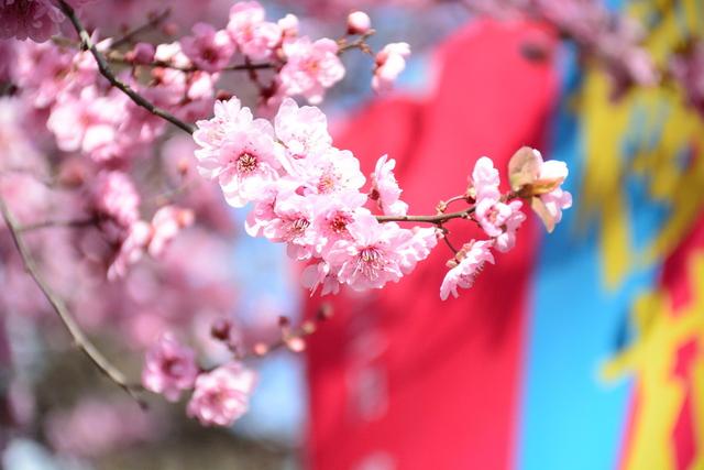 春天，春暖花开的美丽季节