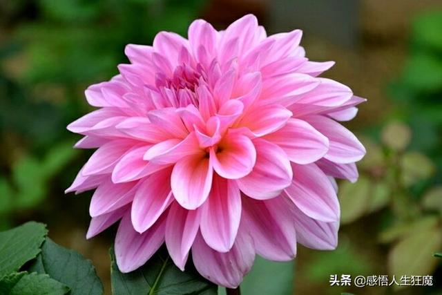 经典小美文（值得一看）！