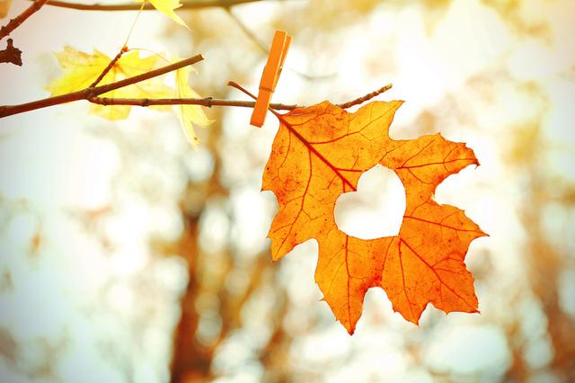 佛教美文：人生20个“之最”