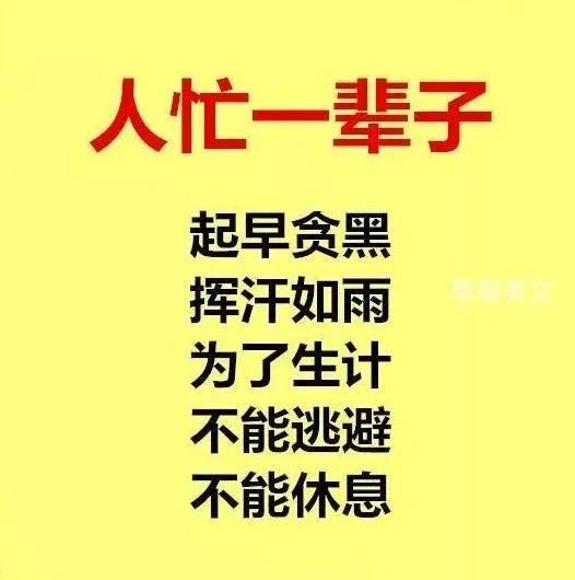 人，忙了一辈子，累了一辈子，苦了一辈子，最后走完了一辈子