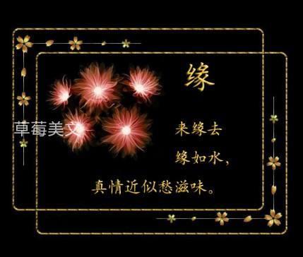 亲爱的，我的幸福，只差一个你