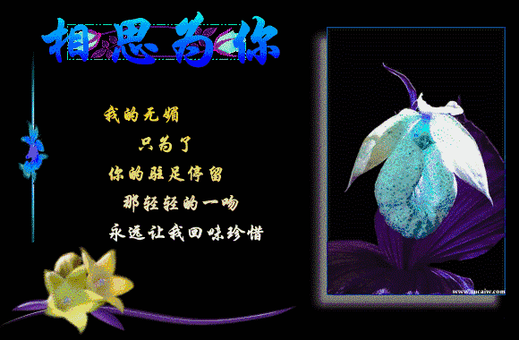 亲爱的，我的幸福，只差一个你