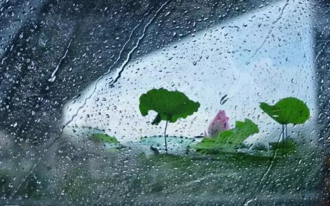 素材：描写下雨天的好词好句好段，快来积累吧！