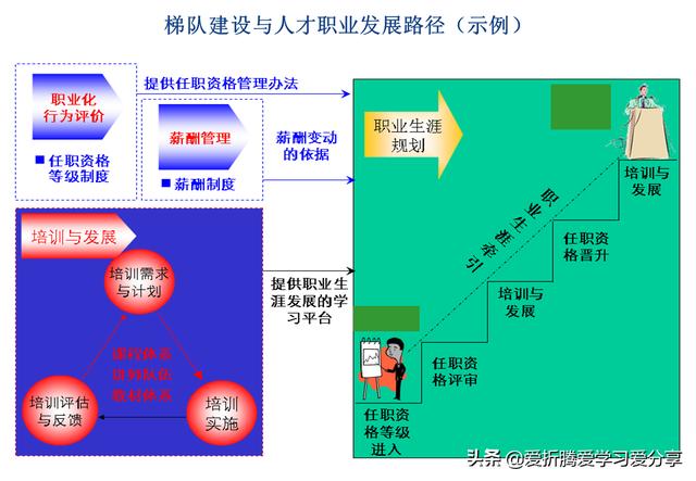「职业规划」人才梯队与人才培养专业PPT（附原档PPT）