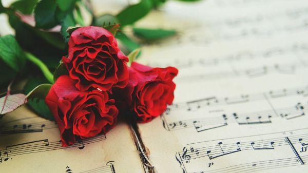 20条正能量经典句子，句句走心，净化心灵的句子