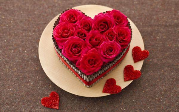 20条正能量经典句子，句句走心，净化心灵的句子