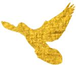 「感悟十九大」学习十九大精神心得体会（精选三）