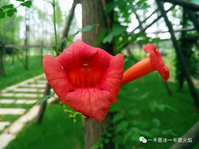 散文诗：中秋 · 读雨