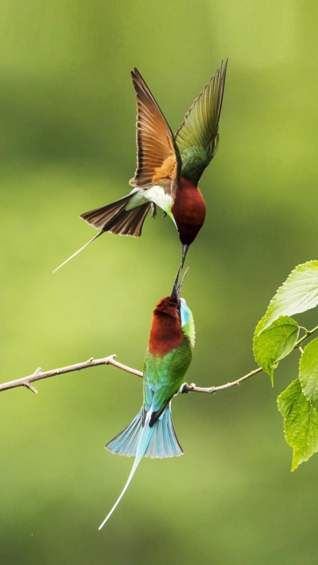 散文诗《幸福》