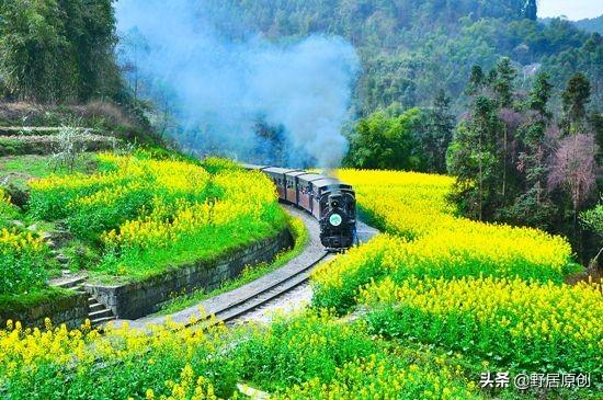 原创抒情散文诗《一趟生命旅行的列车》