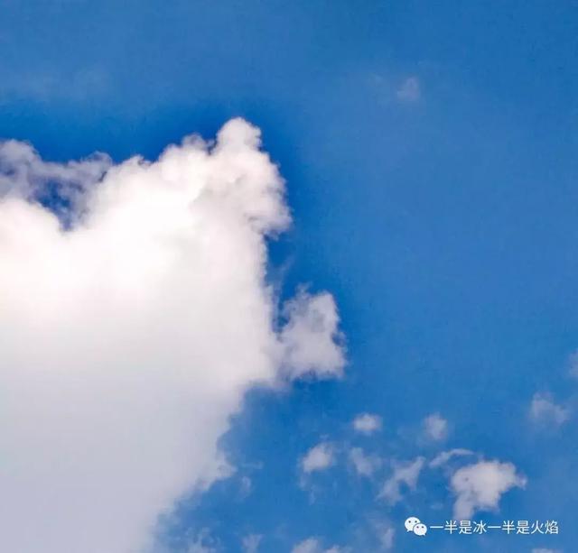 散文诗：最好的模样