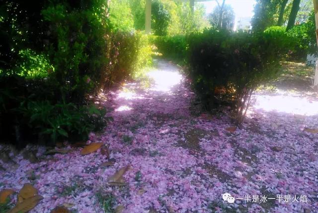 散文诗：春天日记（二）