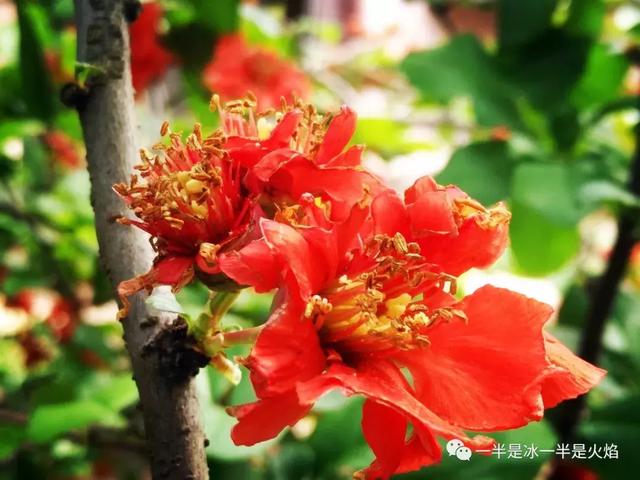 散文诗：春天日记（二）