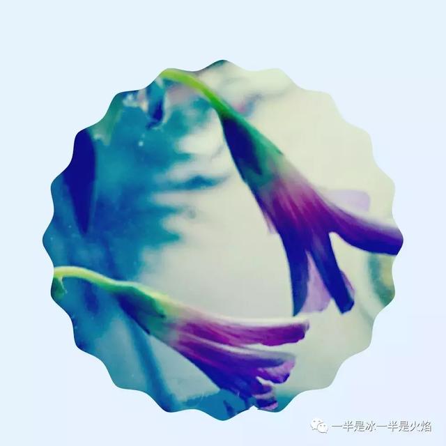 散文诗：春天来了（外一章）