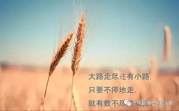 散文诗：（2017）时光，那么短，那么长