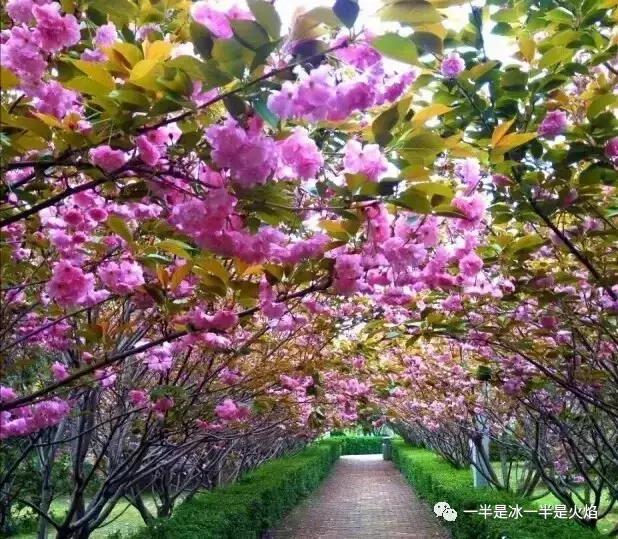 散文诗：（2017）时光，那么短，那么长