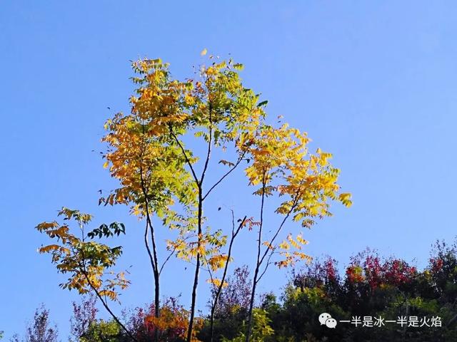 散文诗：这样的秋天，你来吗