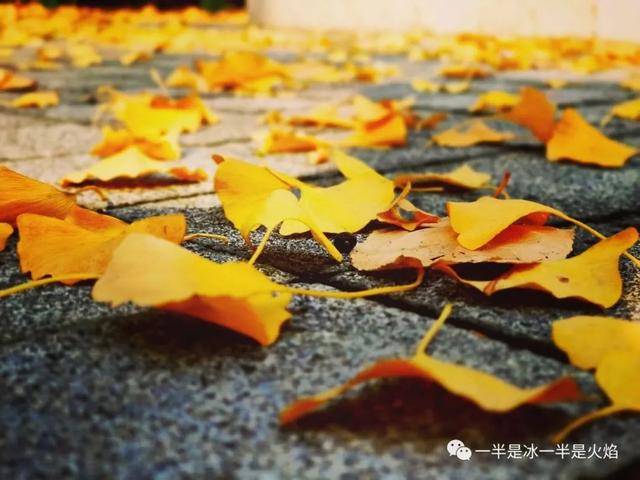 散文诗：这样的秋天，你来吗