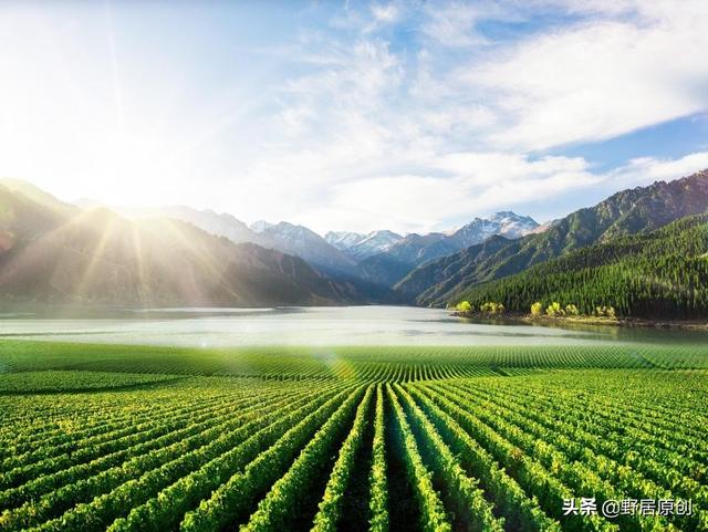 原创抒情散文诗《曾经，那些美好》