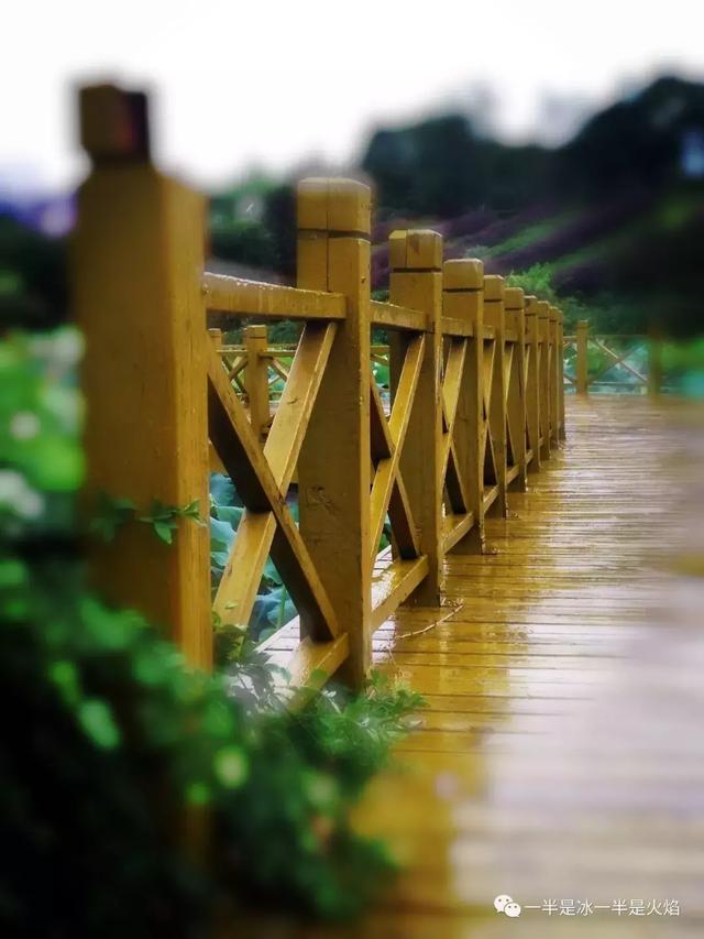 散文诗：总有一场雨，冲去你心上尘沙