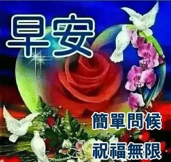 多少人一个人走完四季，冷暧自知，人生就这样，早安