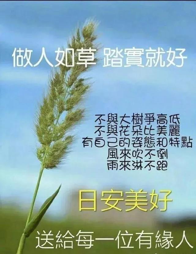 多少人一个人走完四季，冷暧自知，人生就这样，早安