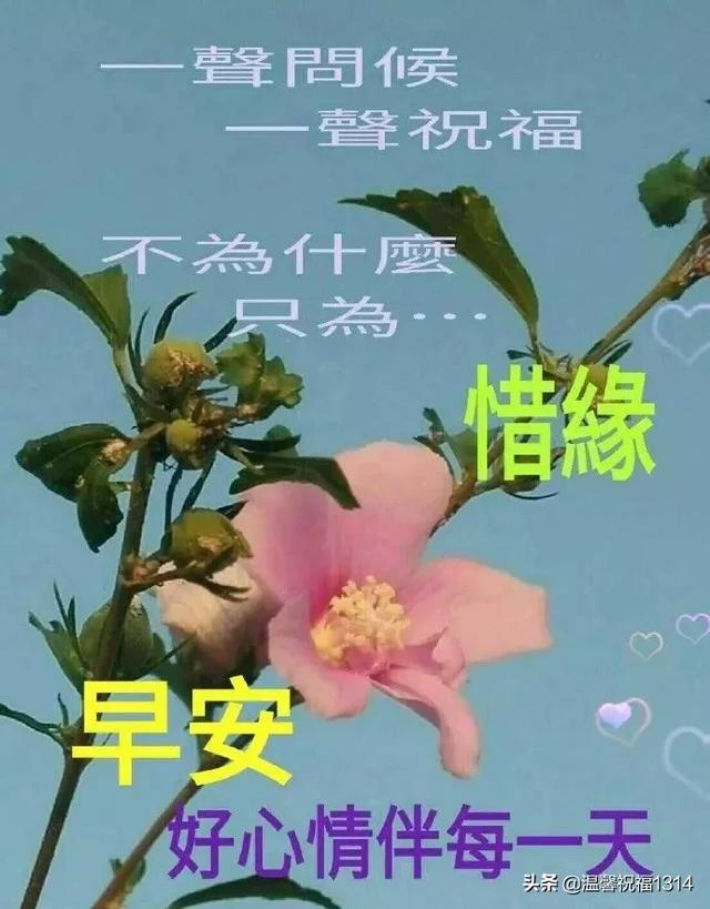 人生不易，珍惜拥有，感谢经历！早安