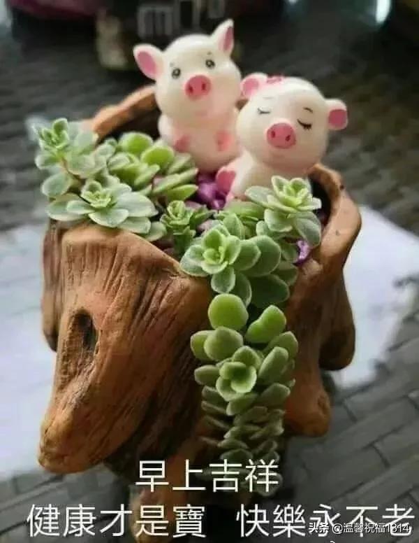 人生不易，珍惜拥有，感谢经历！早安