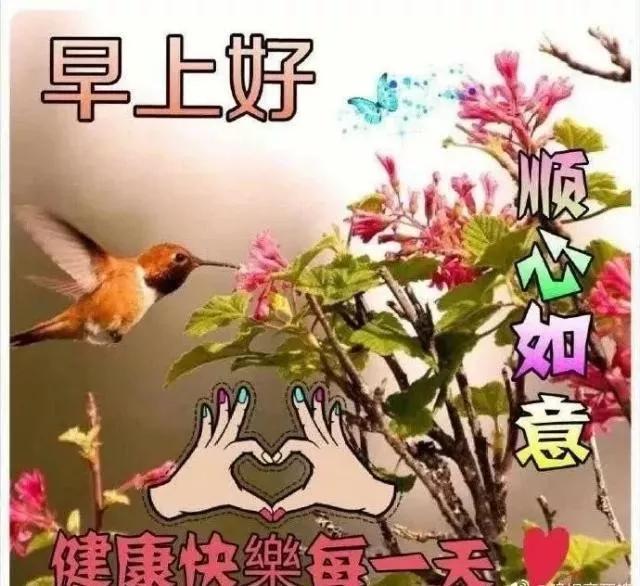 有些人必须忘，因为不值得，早安