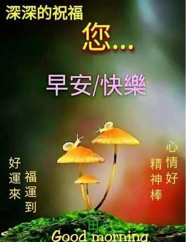 只要面对着阳光，努力向上，日子就会变得单纯而美好，共勉，早安