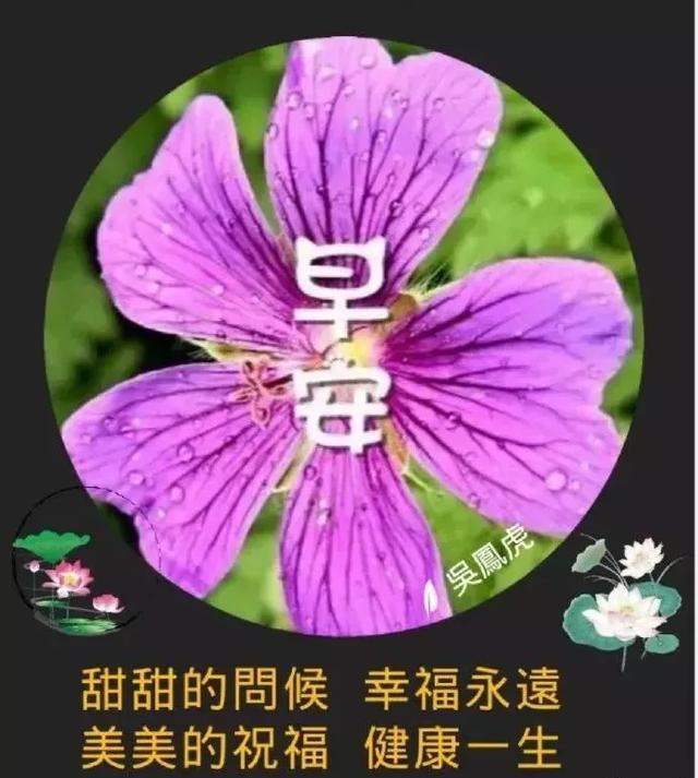 只要还有明天，今天永远都是起点，加油，早安