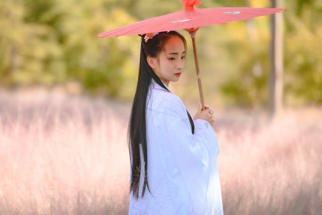 这就是“愚蠢人定律”，聪明人才能看得懂