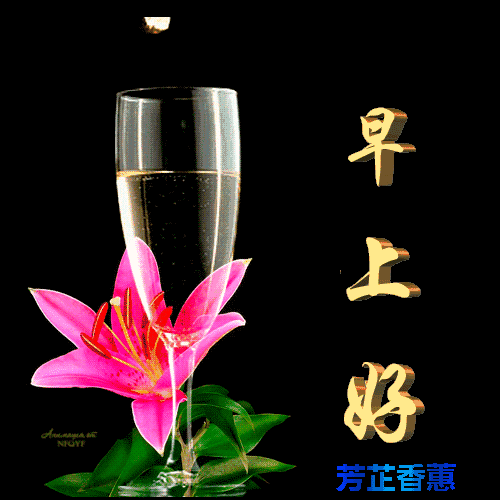 幸福就在前路，只需勇敢追逐，请你要义无反顾，早安！