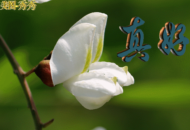 幸福就在前路，只需勇敢追逐，请你要义无反顾，早安！