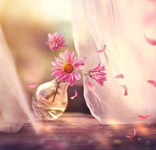 时光越老，人心越淡