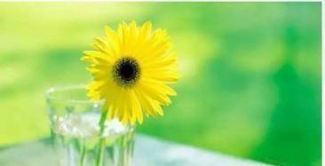 时光越老，人心越淡