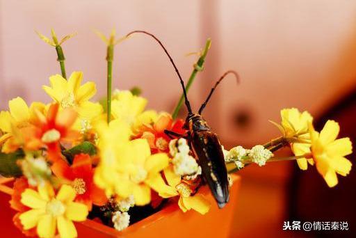 交往越久，越能看清一个人的“本来面目”，以下四种人，不要深交