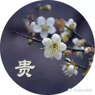 咱李家人最可贵的20种品质