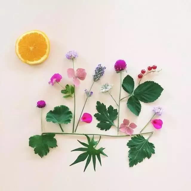 这些优美的句子，真适合发朋友圈