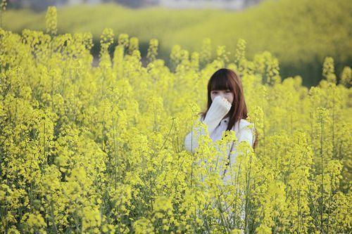 小清新经典优美的句子摘抄