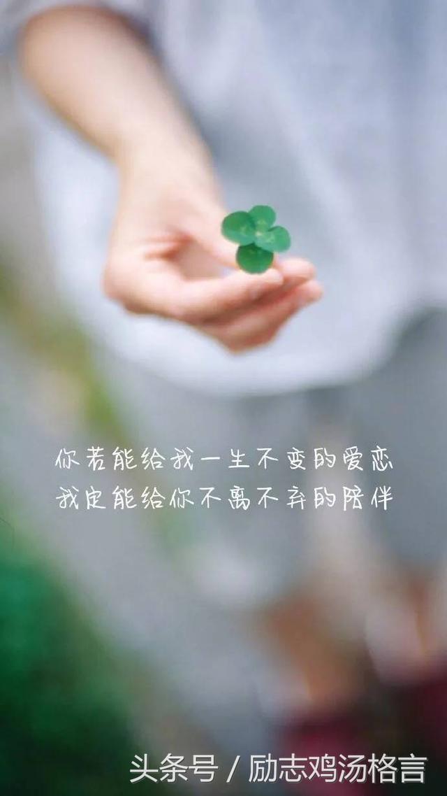 经典唯美句子，心语优美的语句