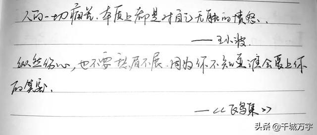 优美的句子摘抄