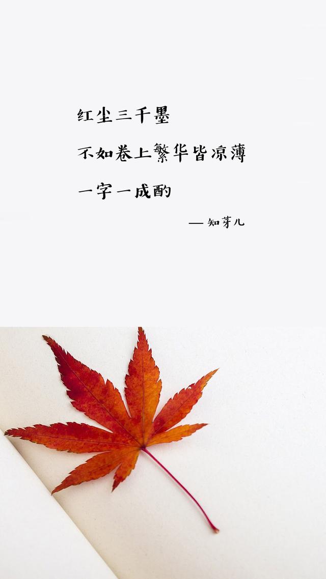 优美句子，值得收藏