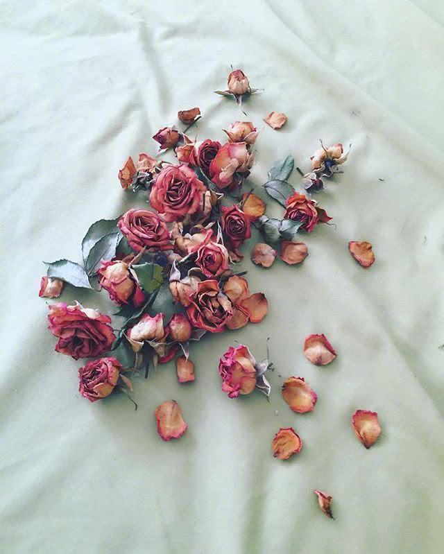 适合发说说的文艺句子，意境优美，让人沉醉！