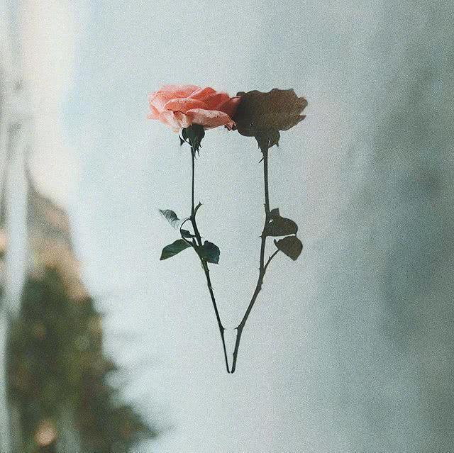 适合发说说的文艺句子，意境优美，让人沉醉！