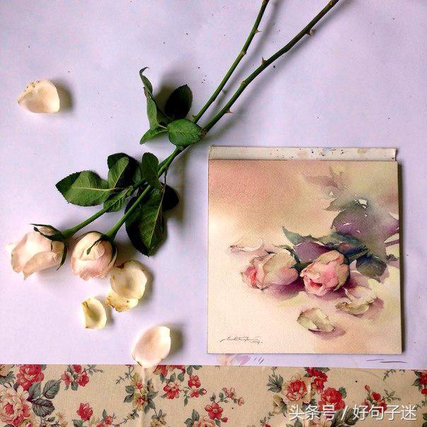 优美文艺的句子，句句唯美暖心，看一眼就沦陷！