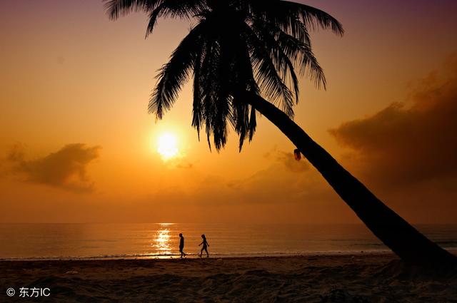 2018最优美的句子，句句沁人心脾，很有意境