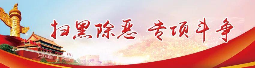 分享读书心得 感受书香魅力