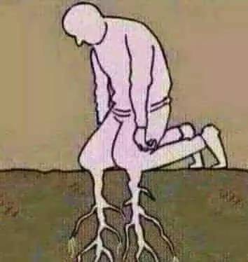 鸡说：这事和我没关系（火了）