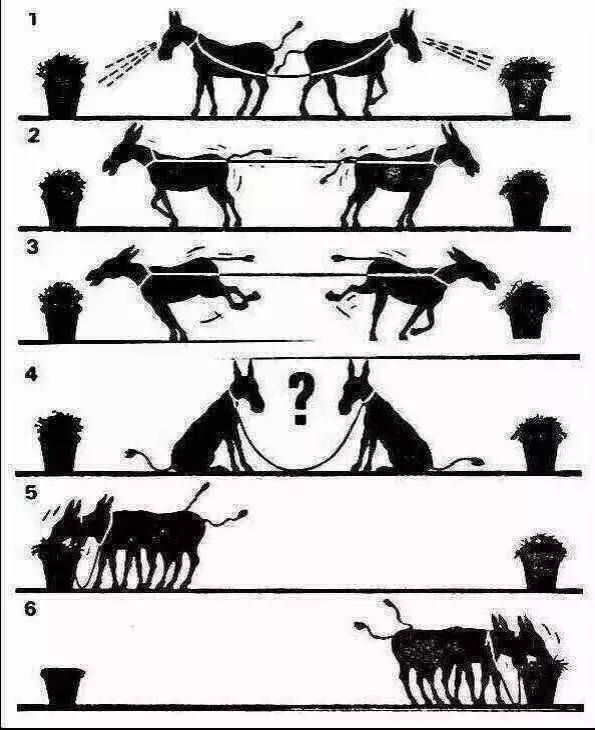 鸡说：这事和我没关系（火了）